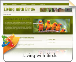 Joomla, Living With Birds